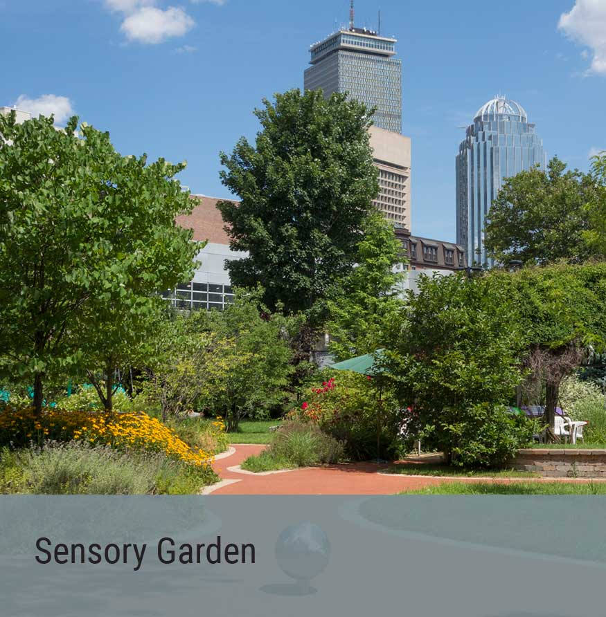 Special Project - Sensory Garden